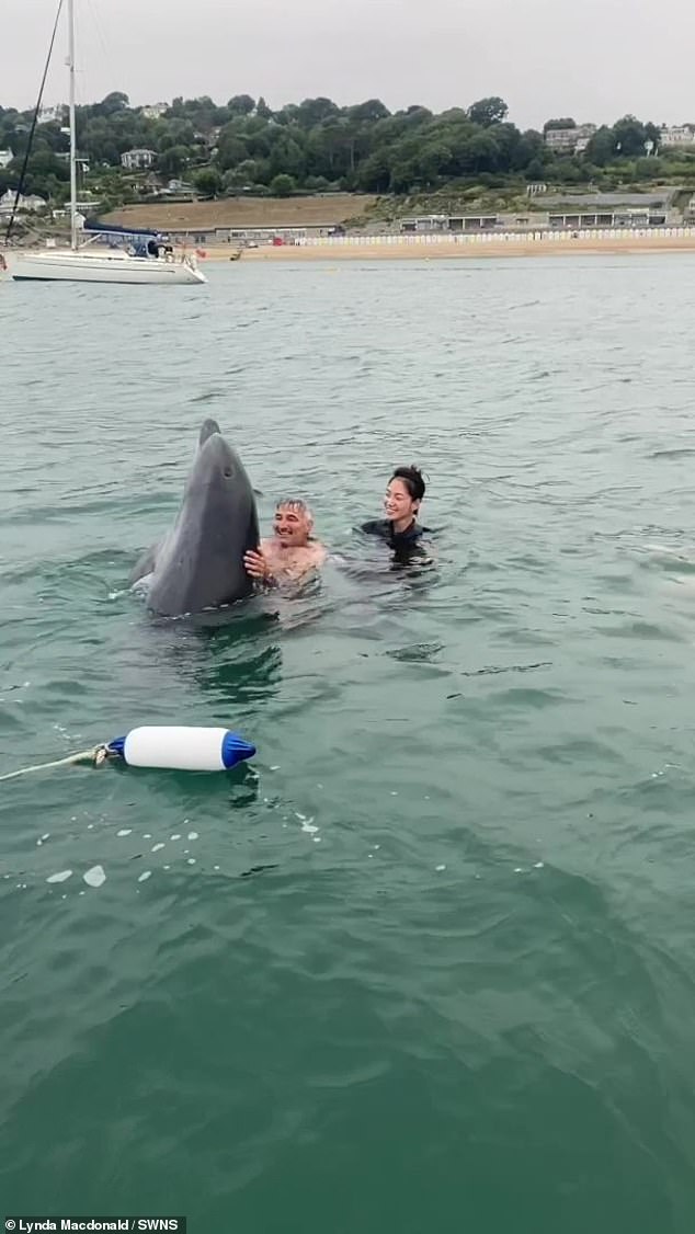 Reggie's initially playful antics in Lyme Bay saw bathers rush into the sea to join him for a moment of their own