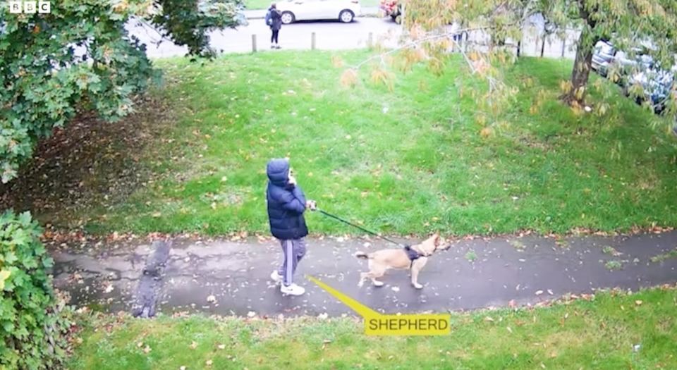 CCTV image of a dog walker and their dog being approached by a group of people.