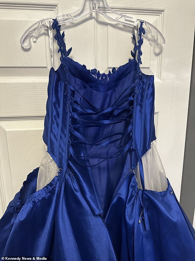Cruel bullies stamped on her £450 prom dress and tore away at the material (pictured)