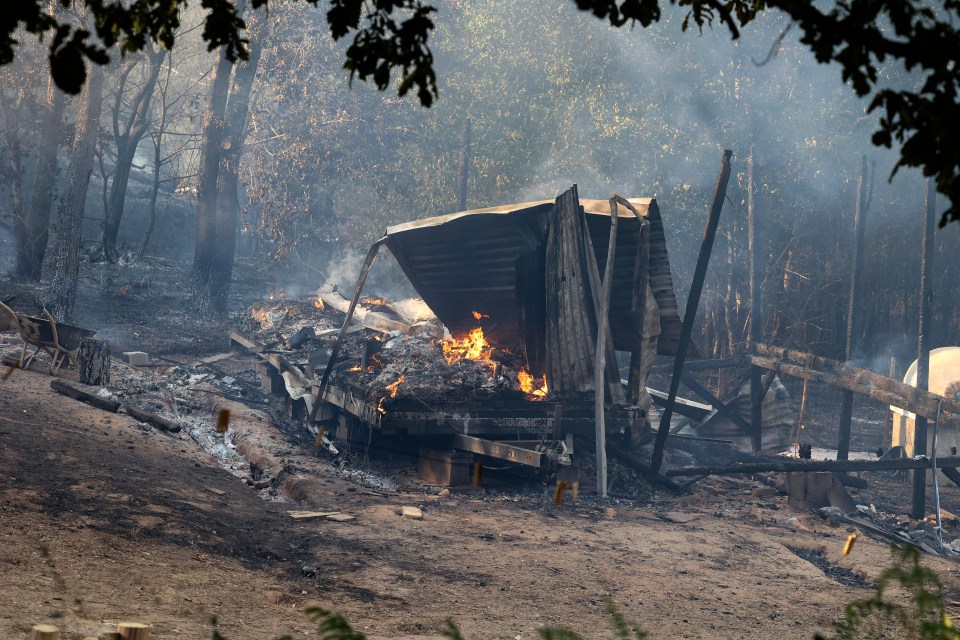 Burned-out truck in a forest fire.