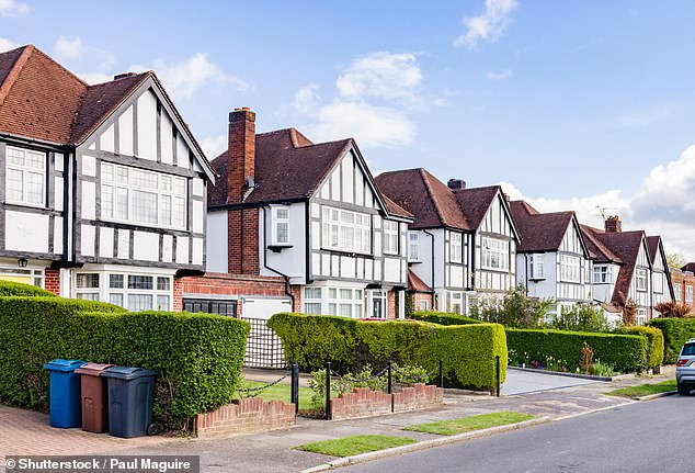 Since 2016 more than £11 billion of suspicious money has flowed into the UK property market - and it has made house ownership more of a struggle for ordinary families (file pic)