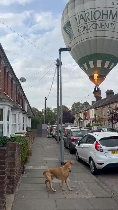 Hot air balloon making an emergency landing in a residential street.