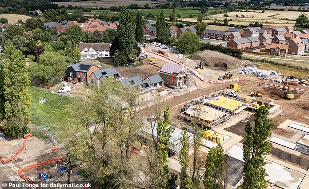 The white house in the distance, surrounded by a sea of newbuild properties
