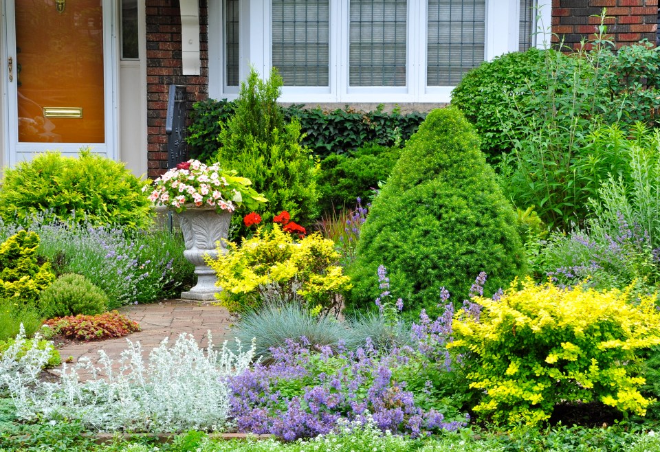 A colorful summer garden with various plants and flowers in front of a house.