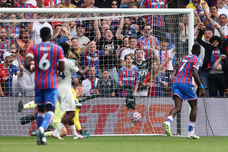 A goal is scored during a soccer match; the goalie dives but misses the ball.