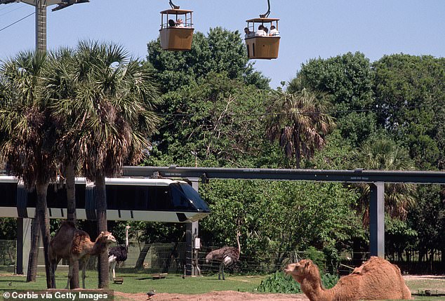 The gardens are a 130-acre amusement park that has 17th-Century charm and is family-friendly with rollercoasters and rides, live shows, and food options