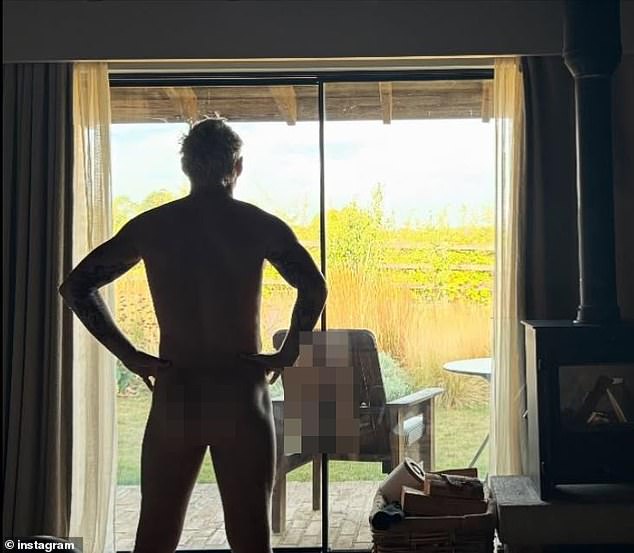 In one snap Jamie could be seen staring outside the window at the vegetation while completely naked, showing off his bare bottom - however a reflection in the glass revealed much more