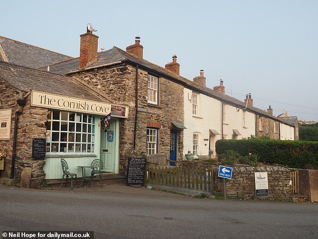 Locals say they are always surprised by the 'little niche group of people' that come because of Pilcher and expect people to come for Rick Stein's restaurant or to see the filming locations of UK TV shows. Pictured: Port Isaac