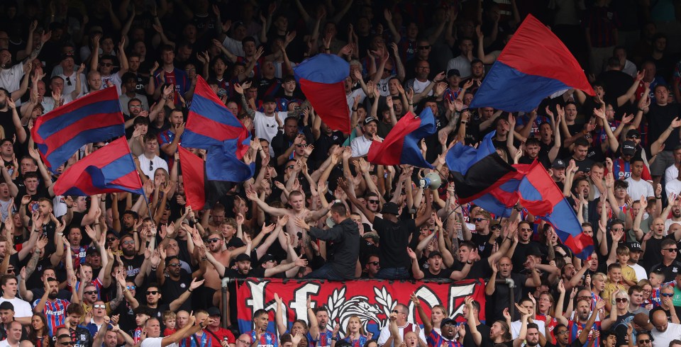 Crystal Palace fans cheering at a match.
