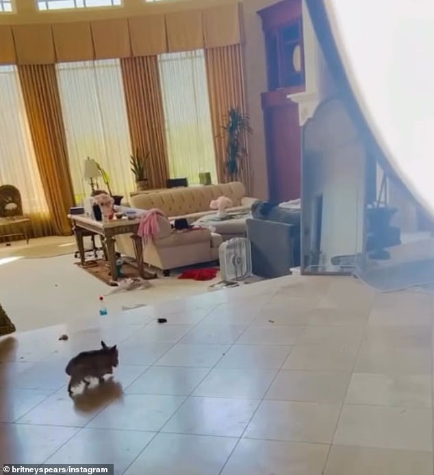 Clutter could be seen in the spacious living room behind her, and towards the end of the clip an adorable pup strutted behind Britney in the background