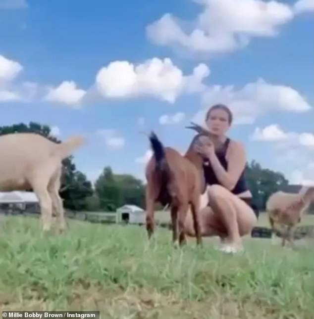The actress and her husband Jake Bon Jovi now live on a farm in rural Georgia where they manage an animal rescue