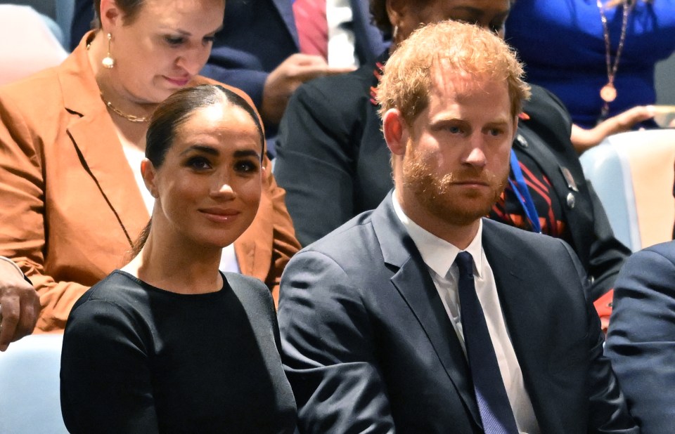 Prince Harry and Meghan Markle at the 2020 UN Nelson Mandela Prize award ceremony.
