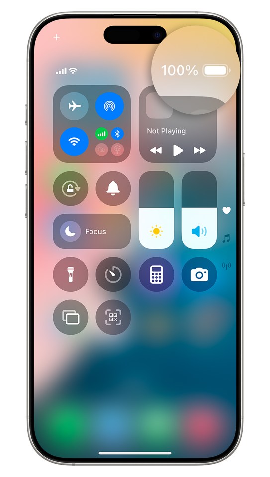 iPhone screen showing 100% battery.