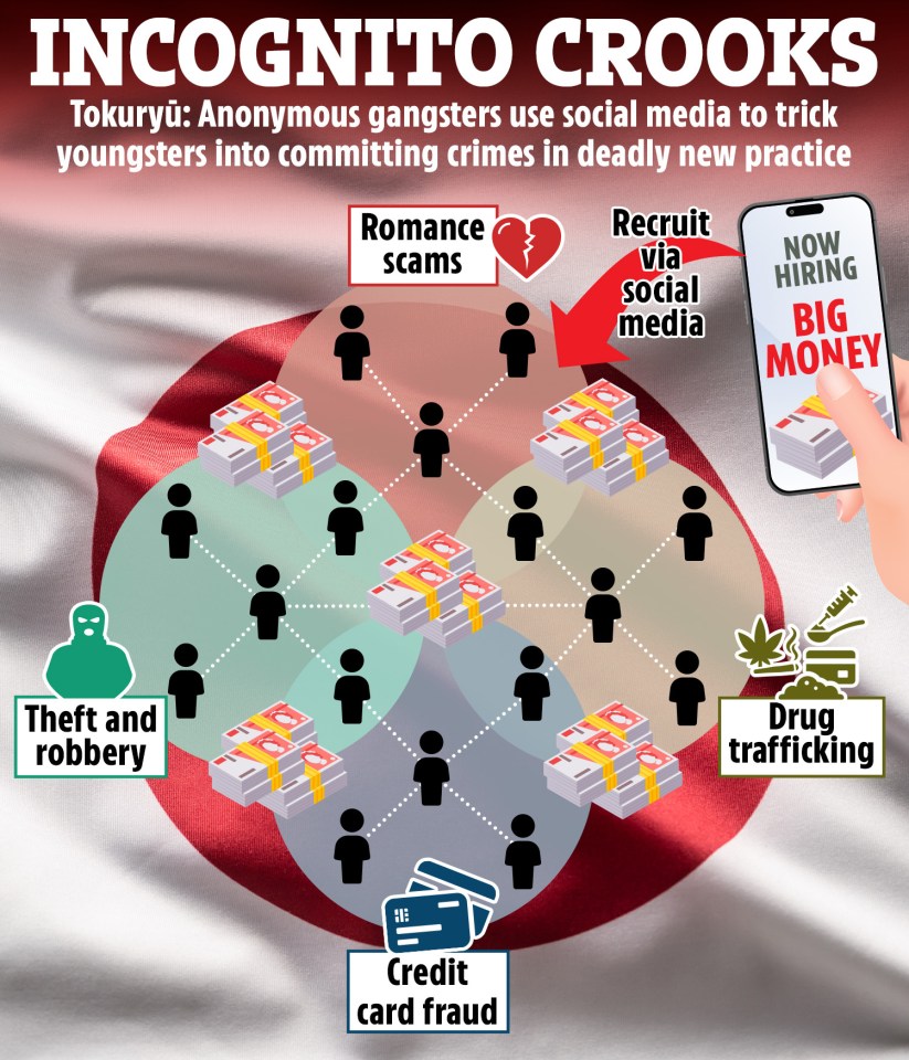 Illustration showing how Tokuryū gangs use social media to recruit youngsters for crimes like romance scams, theft, drug trafficking, and credit card fraud.