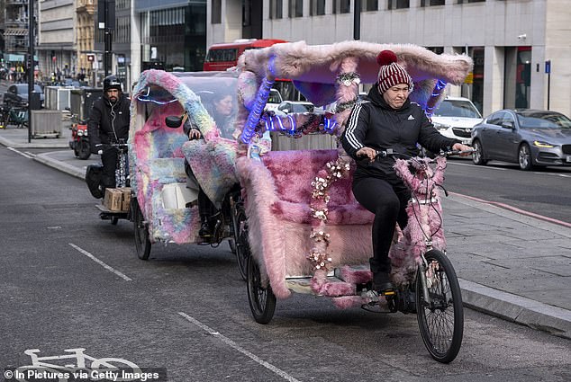 Concerns have previously been raised over the safety of rickshaw bikes, prompting Transport for London (TfL) to launch an official consultation into the dangers, alongside over issues of anti-social behaviour by its drivers and rip-off prices (file image)