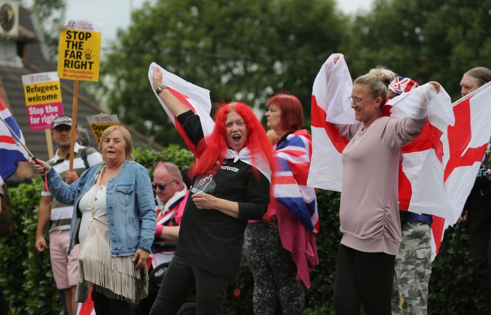 Protestors waving flags and signs at a demonstration.
