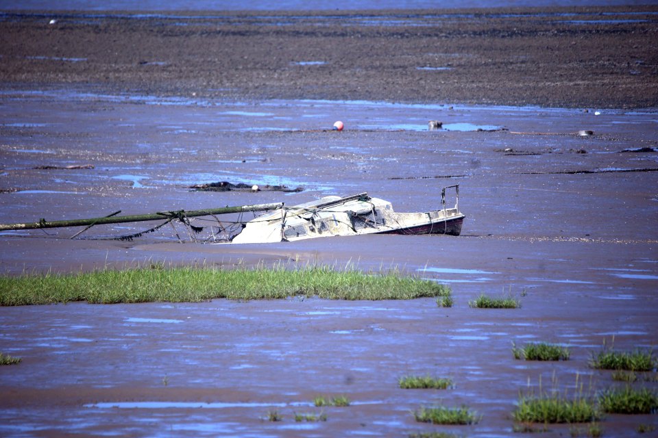 Sunken sailboat on a mudflat.
