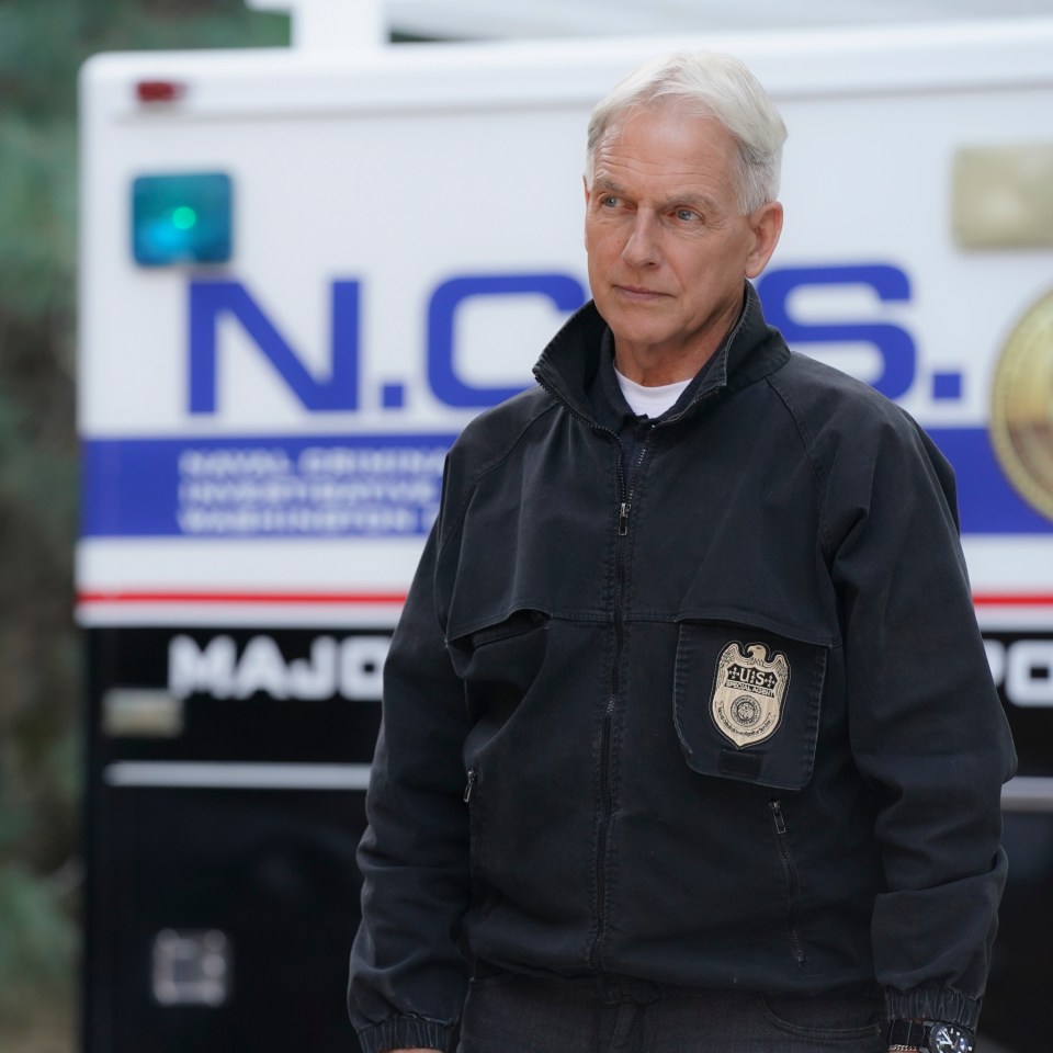 Mark Harmon as Leroy Jethro Gibbs in NCIS.