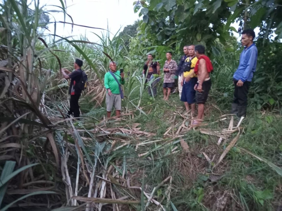 Villagers at the scene after a grandfather was trampled to death by an elephant.