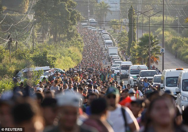 Screwworms have been causing sporadic cases in the US amid outbreaks in Central America that began in 2023. Shown above is a migrant caravan heading to the US in November 2024