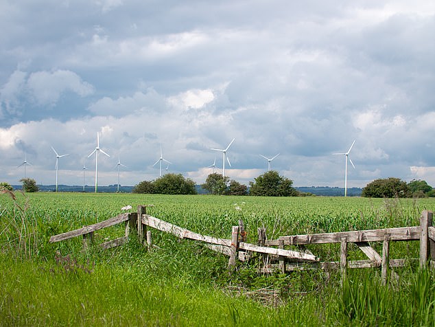 An Ecotricity spokesman said: ‘Ecotricity has been supplying green energy to the public sector for three decades' (File image of wind turbines)