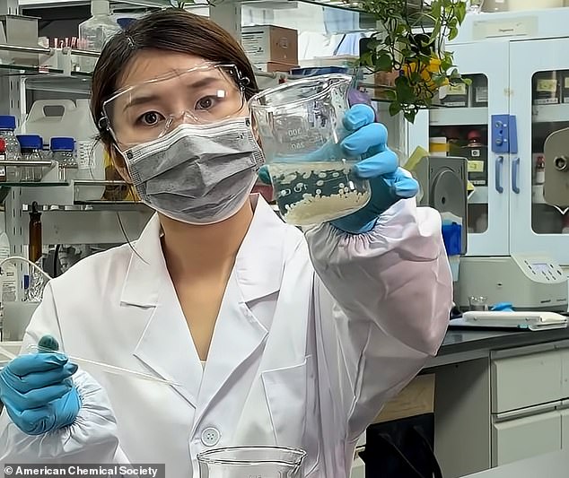 A researcher is pictured above holding the microbeads