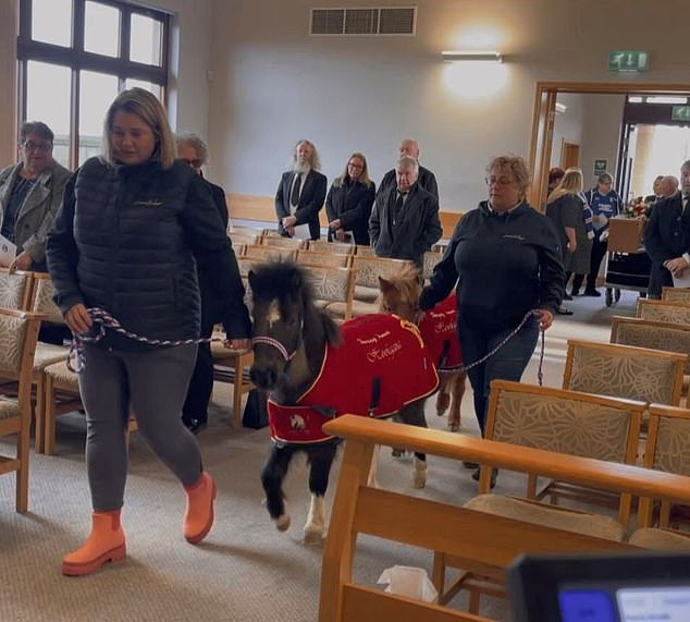 One of Cherene's horses, Apollo, formed a special bond with a terminally ill man called Stuart before he passed away. Pictured: Apollo at Stuart's funeral