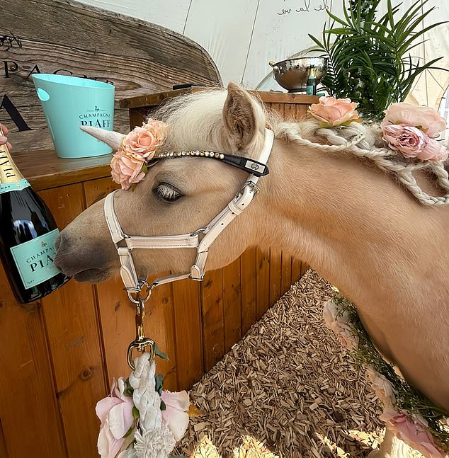 Pictured: Bubbles, the horse who helped Conor, a non-verbal child, find his voice