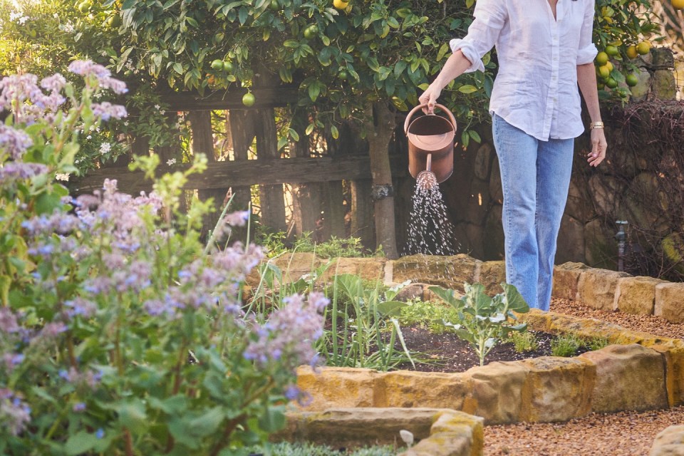 Person watering a garden with a copper watering can.