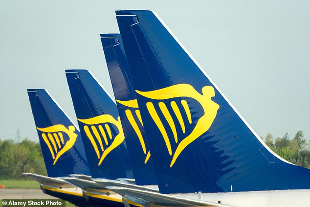 Despite her attempts, the woman was only managed to get the plastic covering off, as her fellow passengers desperately tried to stop her and eventually made cabin crew aware (file image)