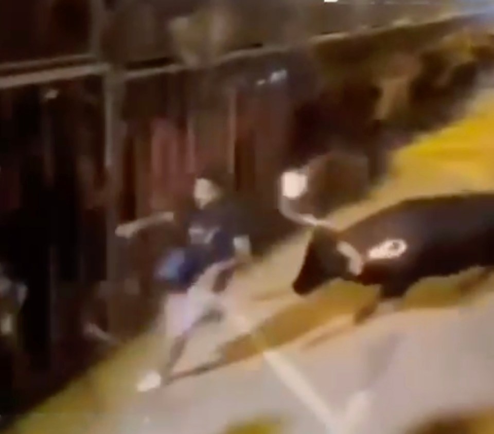 Bull with flaming torches on its horns knocks a man to the ground and takes his bag.