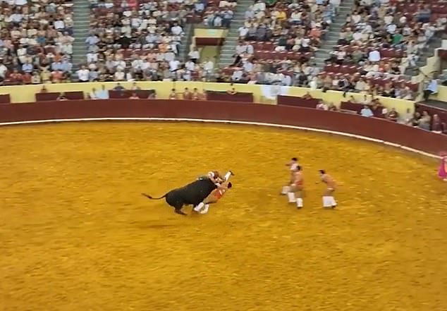 Paramedics rushed to treat Trindade in the ring but the injuries to his head were severe
