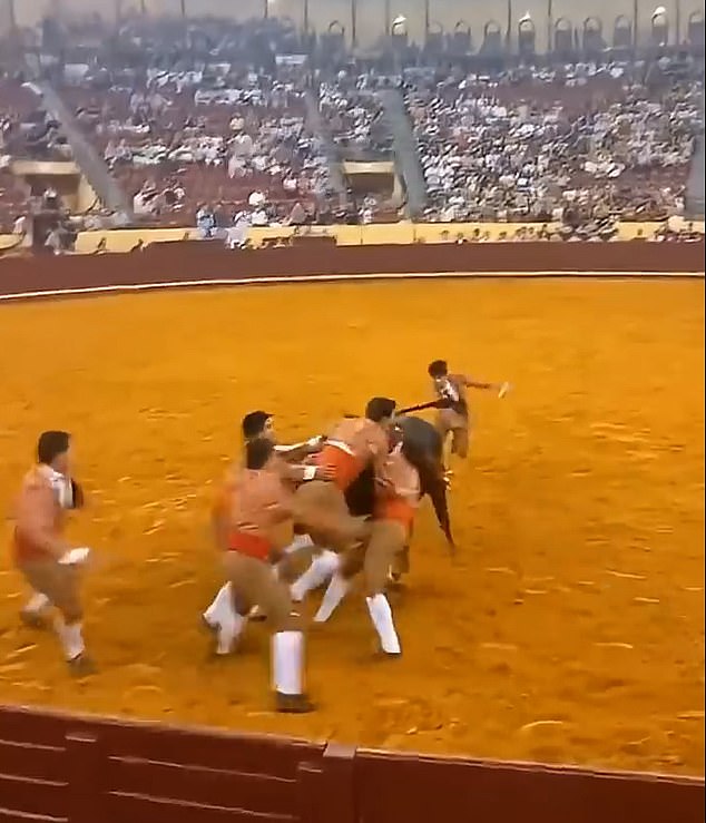Trindade's fellow forcados tried to stop the bull from charging towards the wooden wall
