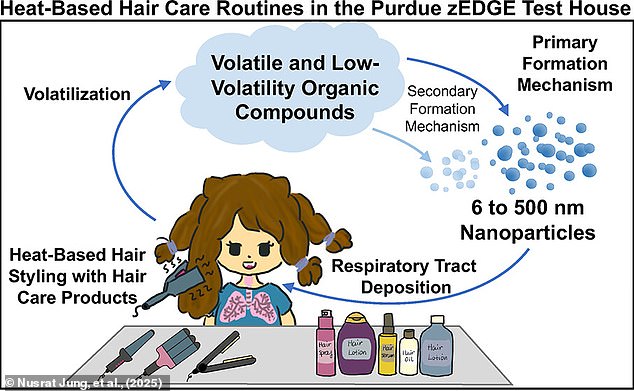 Haircare products - such as shampoos, lotions, gels, oils, waxes, and sprays - are potentially hazardous to your health because they combine volatile chemicals with intense heat