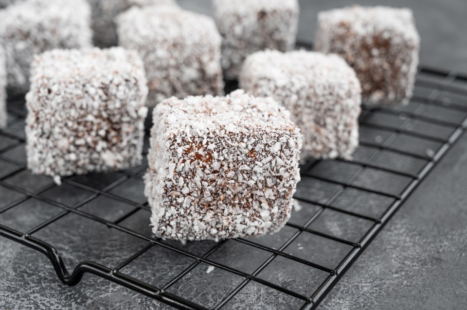 Chocolate lamingtons coated in coconut.