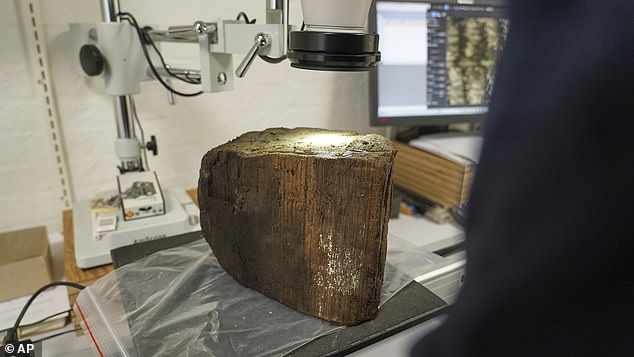 The team found submerged trees on the seabed, allowing them to date the settlement to around 8,500 years old