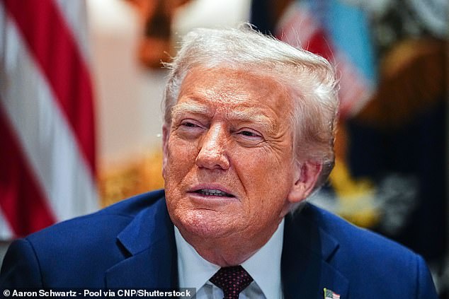 The Reform leader's plans are similar to the crackdown by the US Immigration and Customs Enforcement under Donald Trump (pictured)