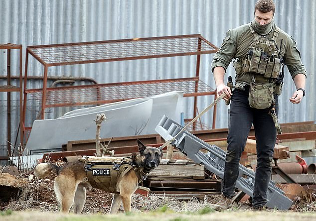 DAYRATE Day 2 Manhunt continues for Dezi Freeman in PorepunkahEXCLUSIVE27 August 2025Â©MEDIA-MODE.COM
