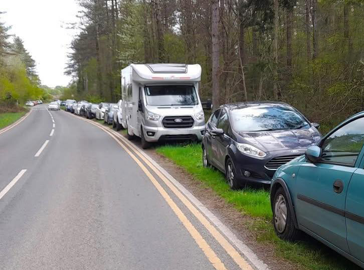 Cars parked along a roadside near a wooded area.