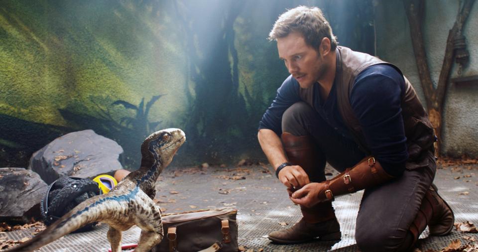 Chris Pratt kneeling and looking at a small dinosaur.