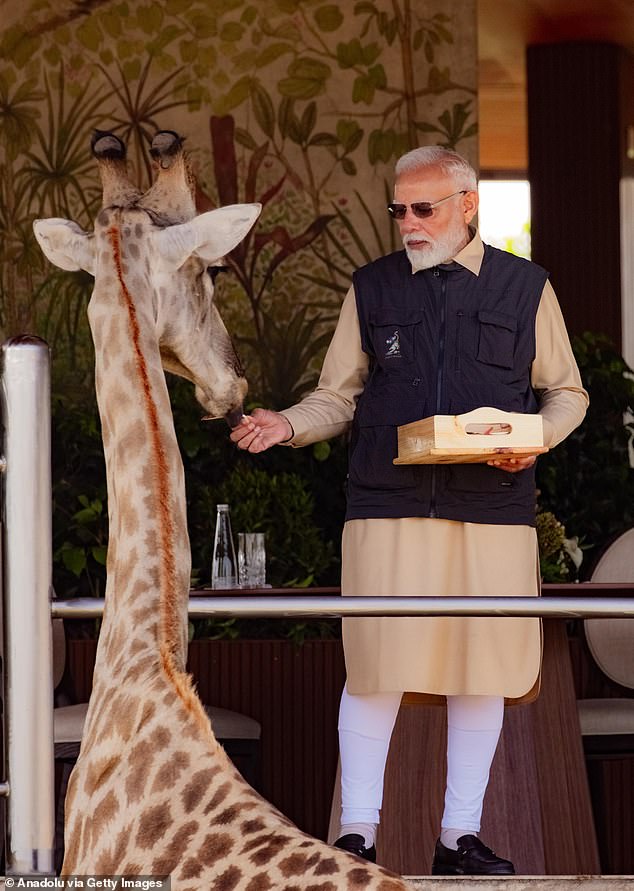 Home to a reported 200 lions, 250 leopards and 900 crocodiles, Vantara in western Gujarat, state describes itself as the 'world's biggest wild animal rescue centre'. Pictured: Indian Prime Minister Narendra Modi visits the wildlife rescue center on March 04, 2025