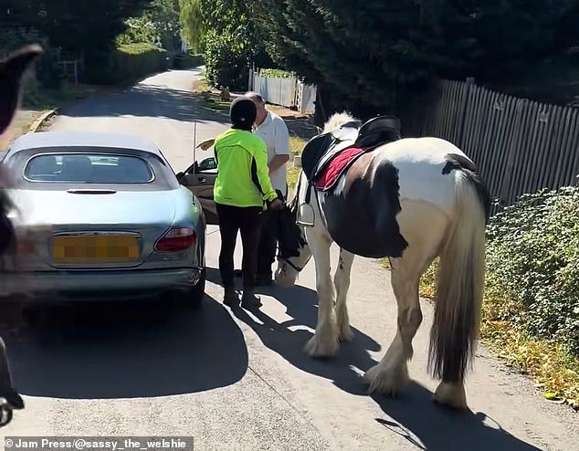 The driver could be seen gesturing and telling the horse rider to 'p*** off' after she explained that he should overtake at no more than 10mph