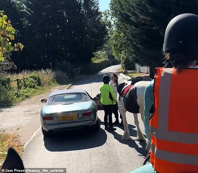 The driver's tirade took place in front of three other horse riders, among them a young girl