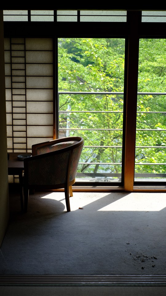 A chair sits in a sunlit room overlooking green trees.