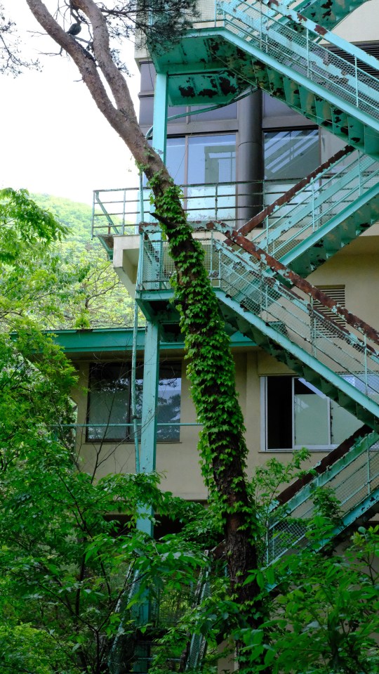 Overgrown teal fire escape at an abandoned hotel.