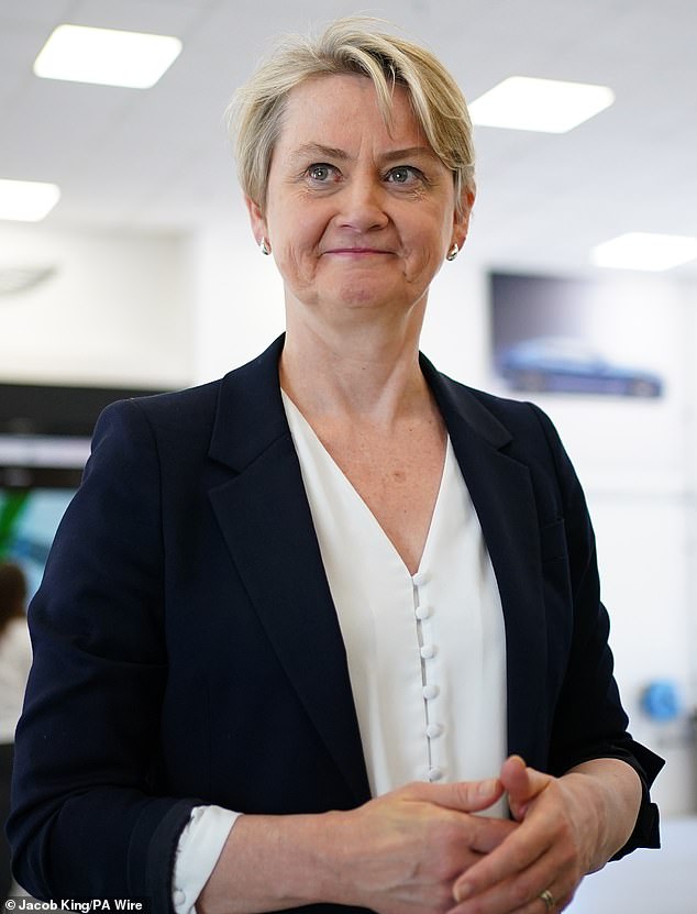 Lawyers for the Home Office argued that the High Court judge who granted the injunction last week was 'wrong' not to let Ms Cooper challenge Epping Forest Council's application to close the hotel