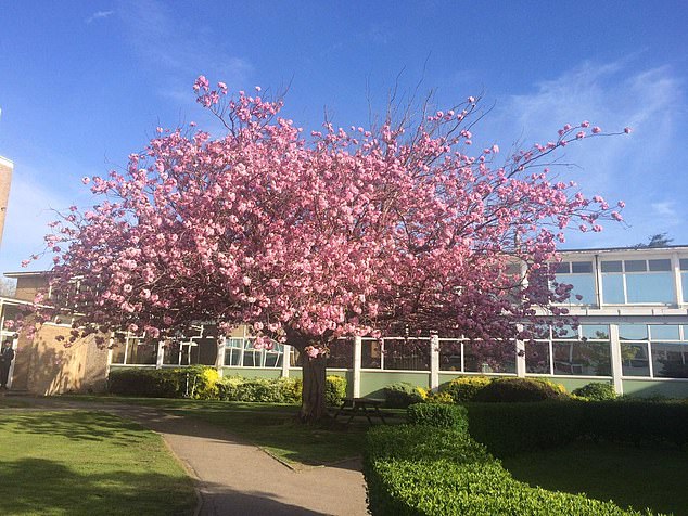 Southend High School for Girls, Southend, Essex