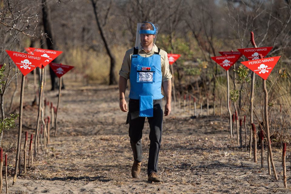 Prince Harry walks through a minefield wearing protective gear.