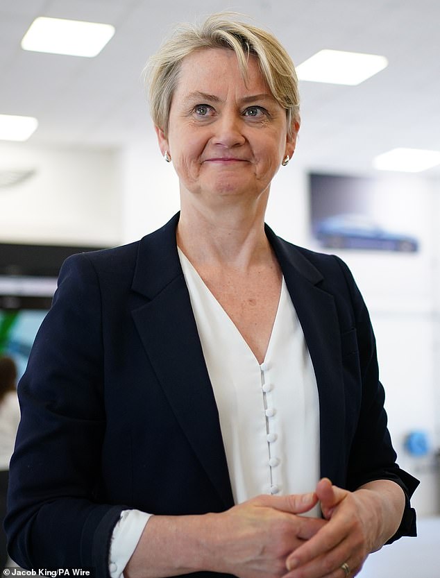 Lawyers for the Home Office argued that the High Court judge who granted the injunction last week was 'wrong' not to let Ms Cooper challenge Epping Forest Council's application to close the hotel