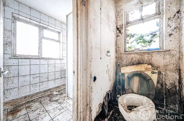 But behind its charming facade, buyers and developers alike will be shocked to discover a rather different story. The kitchen and toilet (pictured) are absolutely riddled with black mould